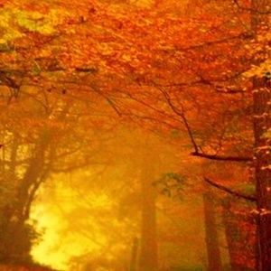 Meet your Posher, Ang